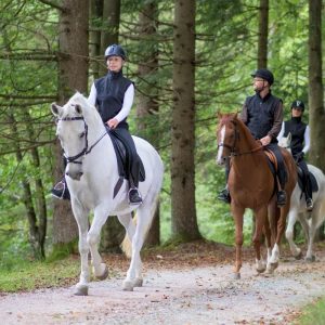 Horse Riding Tour