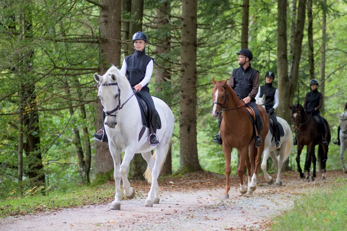 Horse Riding Tour